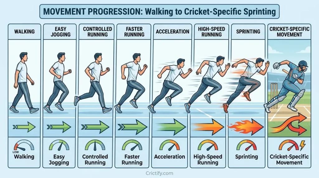 Progressive running rehabilitation stages from walking to cricket-specific sprinting after hamstring strain.